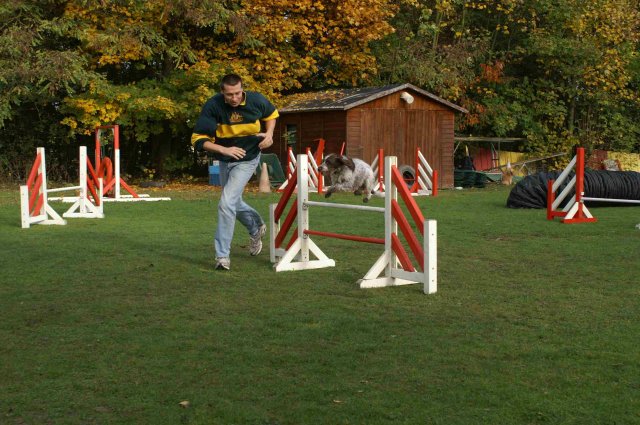 agility 2011-10-30